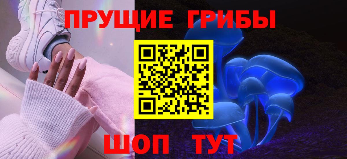 Псилоцибиновые грибы Psilocybine cubensis Похвистнево