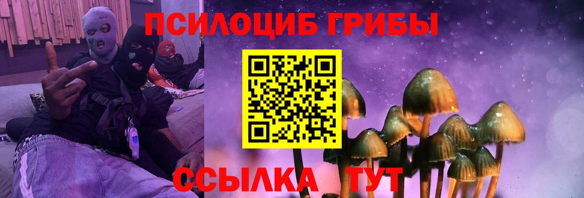 Галлюциногенные грибы MAGIC MUSHROOMS  Вход с VPN  Галлюциногенные грибы прущие грибы  Похвистнево 
